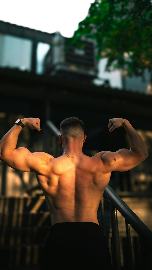 How to Balance Carbs Fats and Protein for Optimal Muscle Growth During Workouts - Musclestache